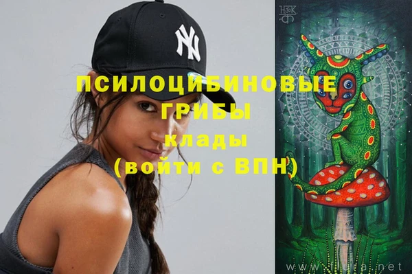 круглые Алзамай